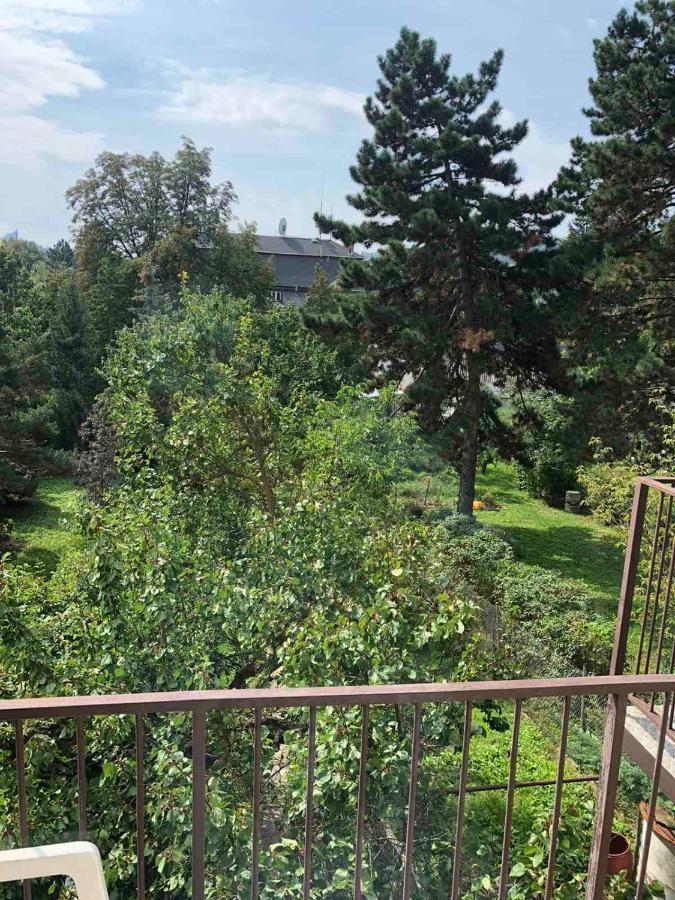 برنو Hostel House Near Bvv-Vystaviste المظهر الخارجي الصورة